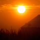 Illustration for article titled 2019 Was the Second-Hottest Year on Record